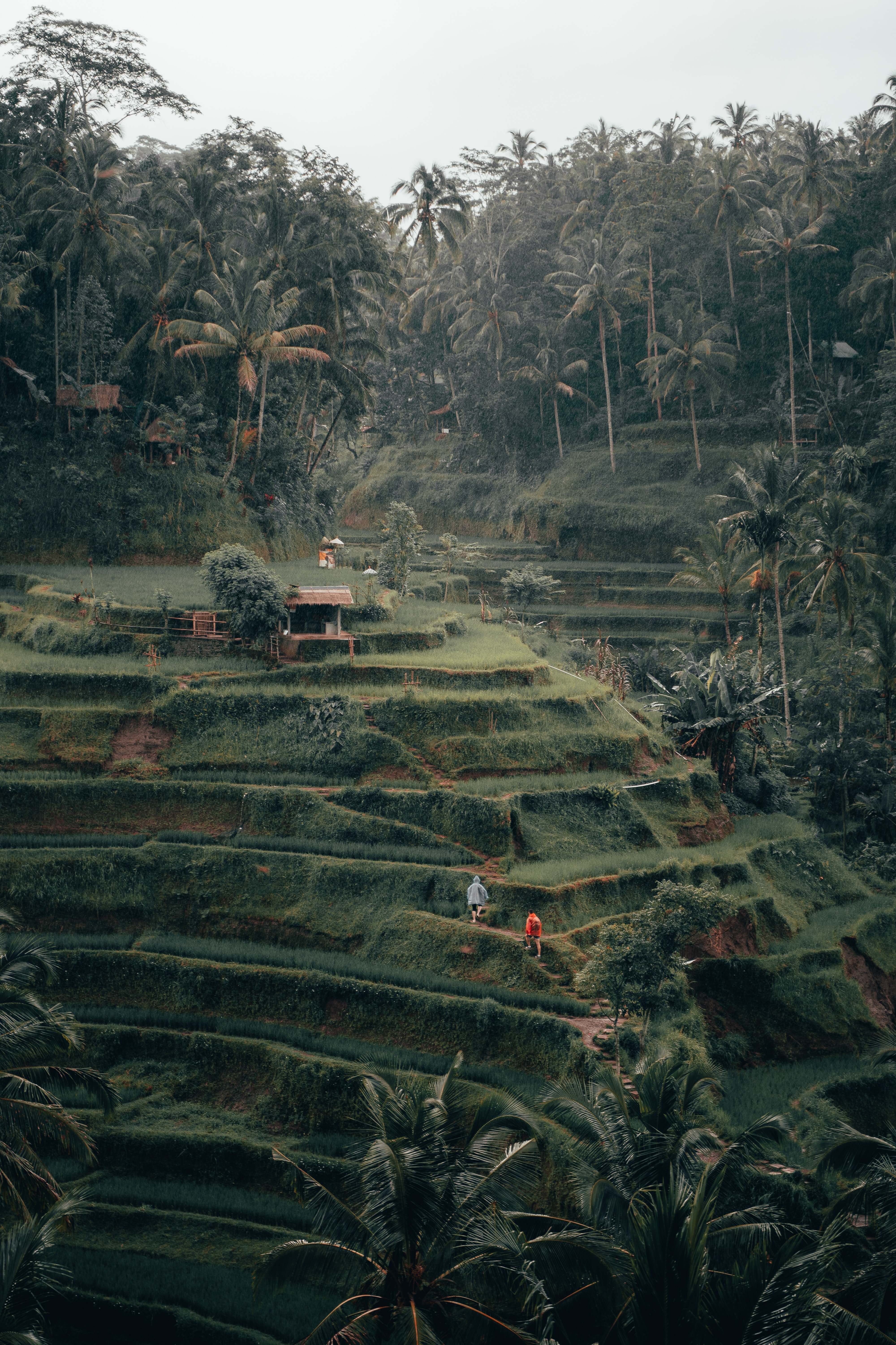 huśtawka na Bali